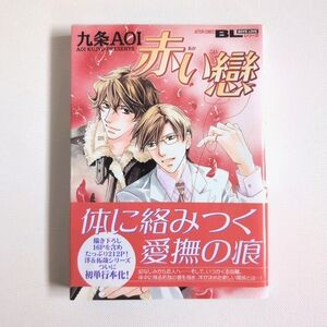 💖3/$15💖 Akai Koi Japanese Boys Love Manga by Aoi Kujyo